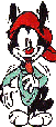 Wakko